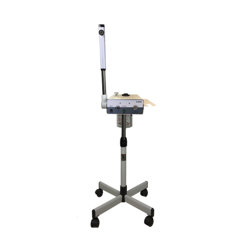 Facial Steamer D201B